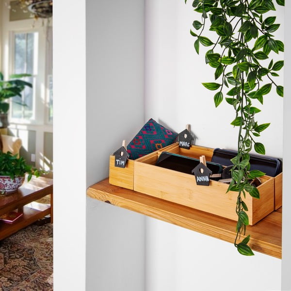 Bambukinė dėžutė Compactor Woody, 30 x 7,5 x 6,35 cm-image-1