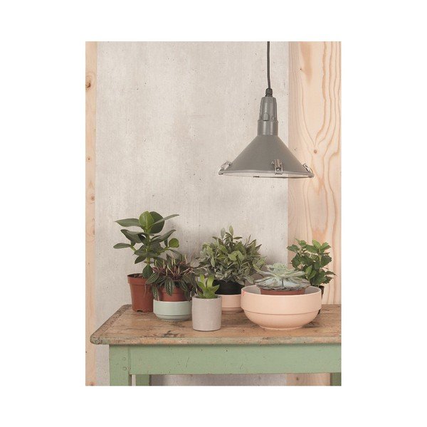 Salotinė PT KITCHEN Blush Grey-image-2