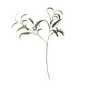 Dirbtinis eukaliptas (aukštis 101 cm) – Bloomingville