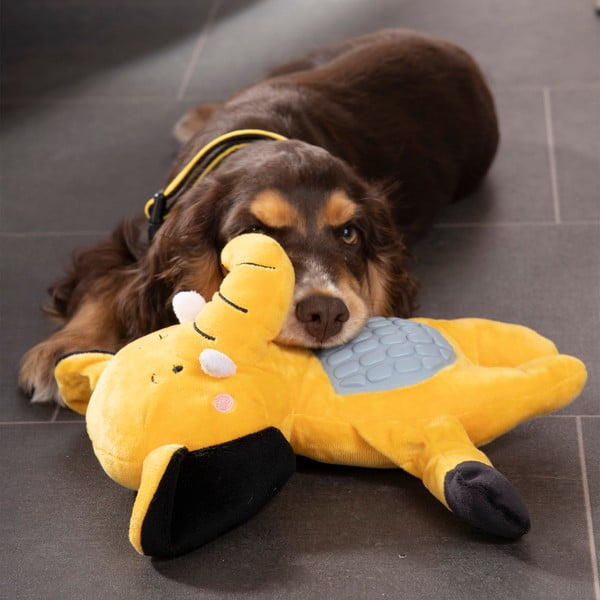 Žaislas šuniui – Love Story-image-1