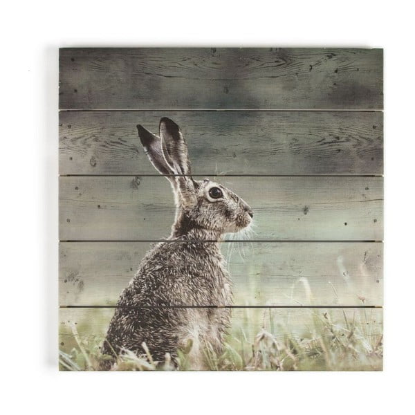 Medinis paveikslas Graham & Brown Hare, 50 x 50 cm