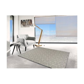 Pilkas lauko kilimas Universal Silvana Gusmo, 160 x 230 cm