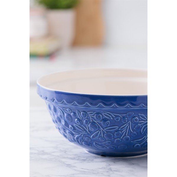 Mėlynos spalvos iš akmens masės dubuo ø 26 cm Fruits Blueberry – Mason Cash-image-4