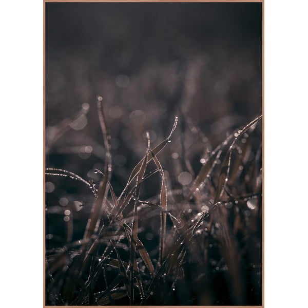 Paveikslas 50x70 cm Mellow Grasses 5 – Malerifabrikken