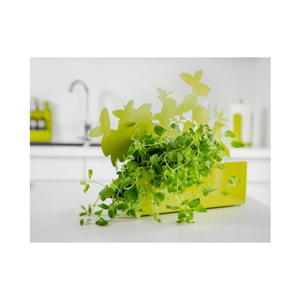 Žaliasis vaistažolių stovas "Sagaform Herb-image-2