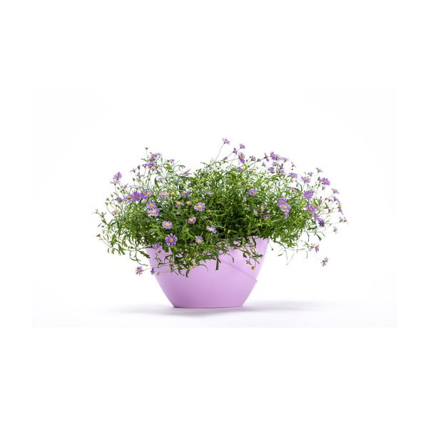 Pastelinės violetinės spalvos savaiminio laistymo vazonas Plastia Doppio-image-2