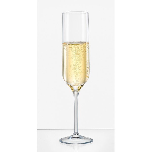 6 šampano taurių rinkinys Crystalex Uma, 200 ml-image-1