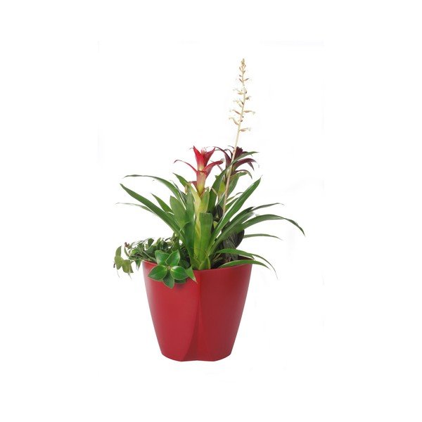 Raudonas Plastia Camay vazonas, ø 18,5 cm-image-1