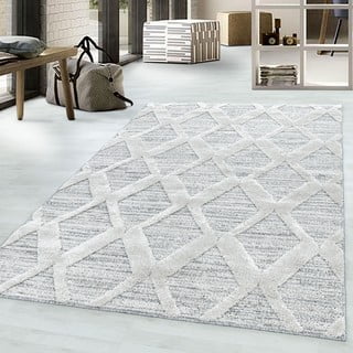 Kilimas šviesiai pilkos spalvos 80x150 cm Pisa – Ayyildiz Carpets