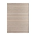 Smėlio spalvos lauko ir vidaus kilimas 200x290 cm Desert 1303 – Ayyildiz Carpets