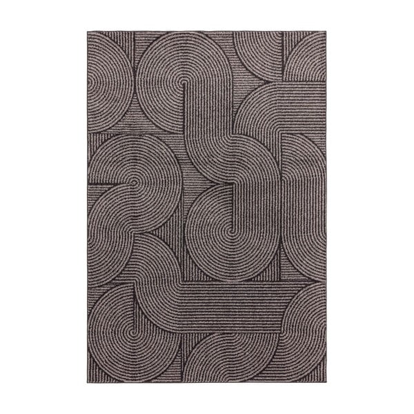Pilkas kilimas 290x200 cm Muse - Asiatic Carpets