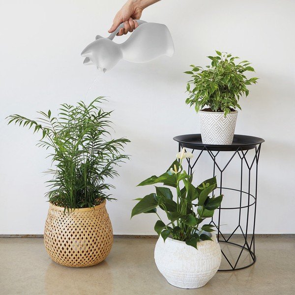 Laistytuvas iš plastiko 2 l Meow – Balvi-image-1