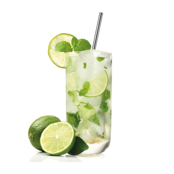 4 nerūdijančio plieno šiaudelių rinkinys su šepetėliu Westmarkvalymo-image-1