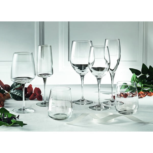 Šampano taurė Brandani Omnia-image-1