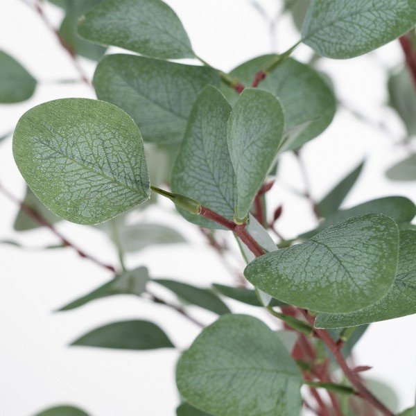 Dirbtinis eukaliptas (aukštis 180 cm) Eucalyptus – Ixia-image-1