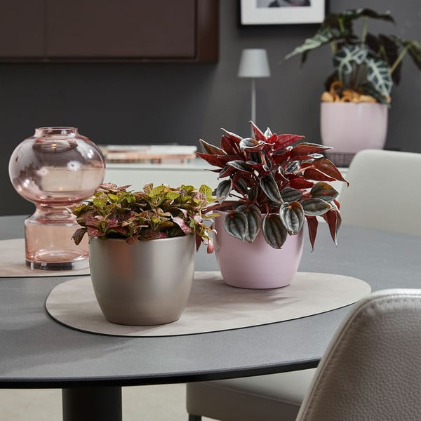 Keraminis vazonas ø 19 cm Basel Elegance - Big pots-image-1