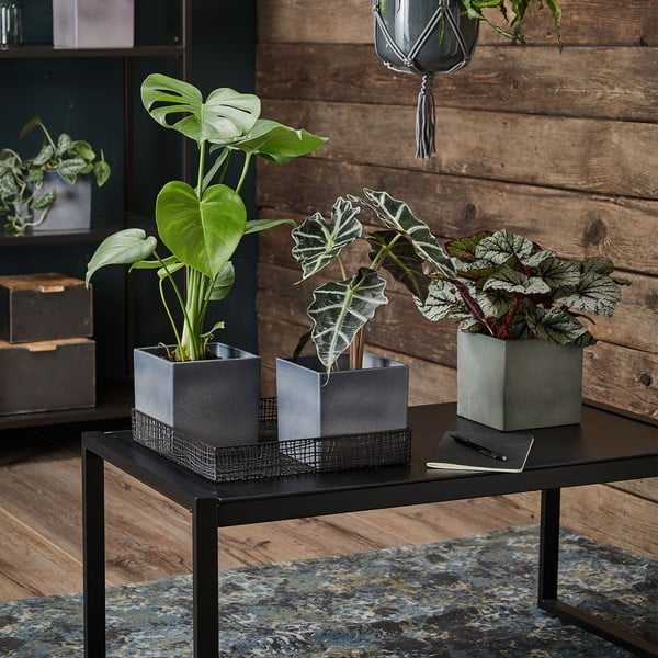 Violetinis keraminis vazonas Big Pots Latina, 15 x 15 cm-image-1