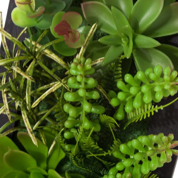 2 pakabinamų augančio Unimasa kaktuso formos dekoracijų rinkinys-image-3