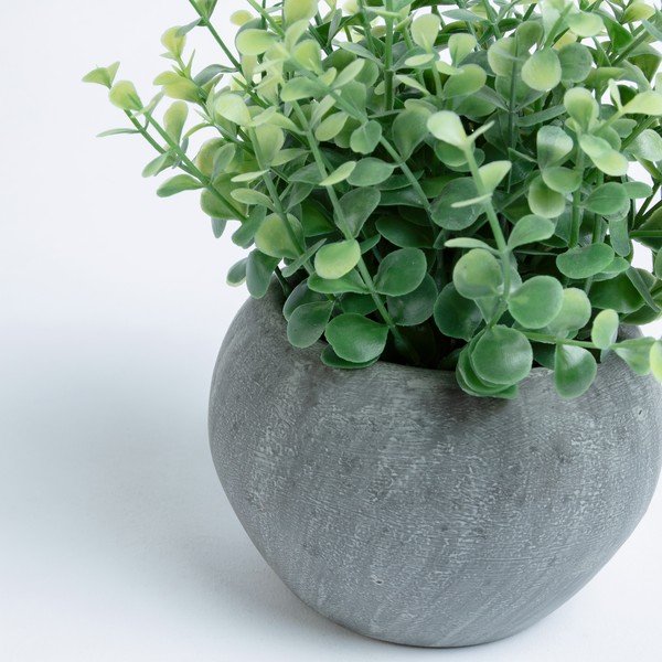 Dirbtinis eukaliptas vazone Kave Home-image-1