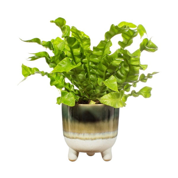 Žalias vazonas Sass & Belle Bohemian Home Mojave, ø 11,7 cm-image-2