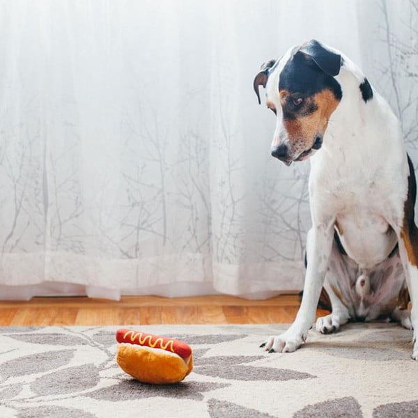 Šunų žaislas Hot Dog - P.L.A.Y.-image-1