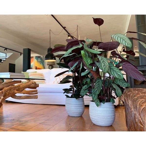 Rankų darbo vazonas iš keramikos ø 29 cm Dóris – Artevasi-image-1