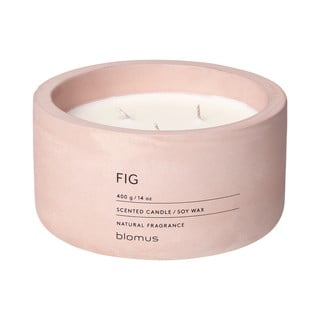 Sojos vaško žvakė su figų kvapu Blomus Fraga, 25 valandų degimo trukmė