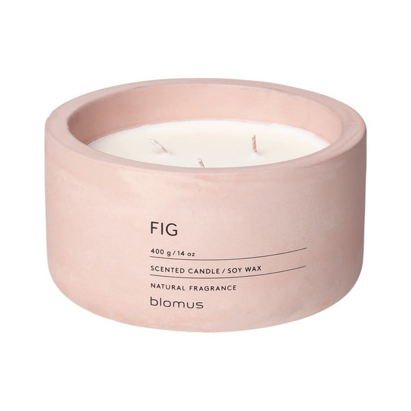 Aromatinė žvakė iš sojų vaško degimo laikas 25 h Fraga: Fig – Blomus