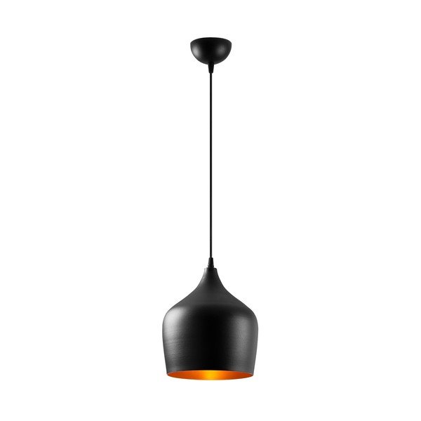Kabantis šviestuvas juodos spalvos ø 22 cm su metaliniu gaubtu Dodo – Opviq lights-image-2