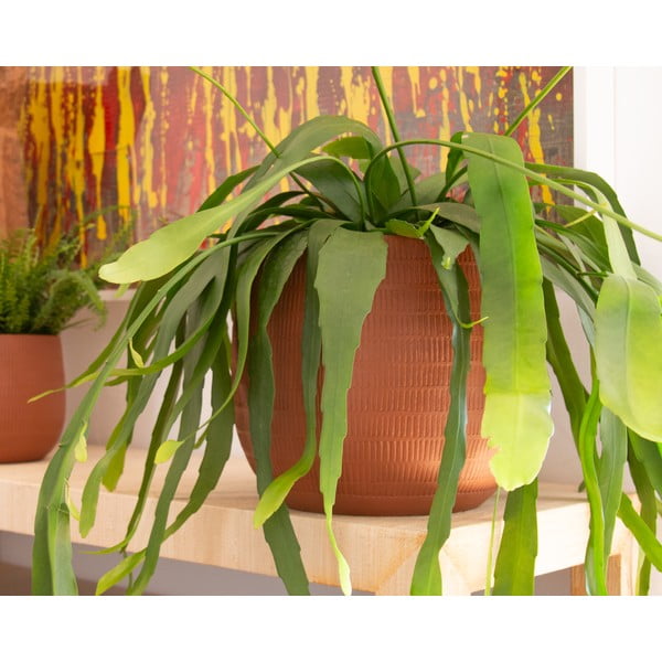 Rankų darbo vazonas iš keramikos ø 20 cm Aura – Artevasi-image-1