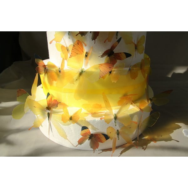 18 lipnių 3D lipdukų rinkinys Ambiance Butterflies Yellow-image-3