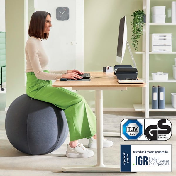 Ergonomiškas sėdmaišis su svarmenimis ø 75 cm Ergo – Leitz-image-4