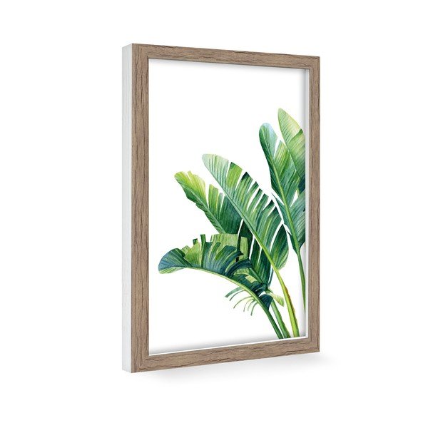 Plakatas 60x90 cm Musa - knor-image-1