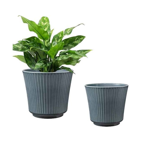 Mėlynas keraminis vazonas Big Pots Delphi, ø 16 cm-image-3