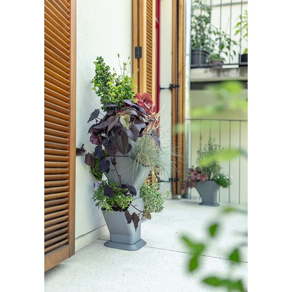 Pilkas savaiminio laistymo vertikalus vazonas Plastia Tree-image-1