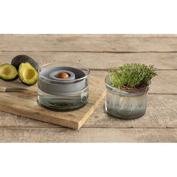 Iš stiklo daiginimo konteineris ø 14 cm Avocado – Esschert Design-image-2