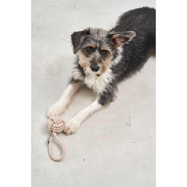 Žaislas šuniui Nodo Greige – MiaCara-image-2