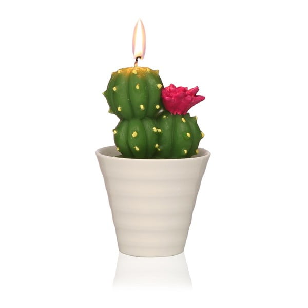 Dekoratyvinė kaktuso žvakė "Versa Cactus Fila