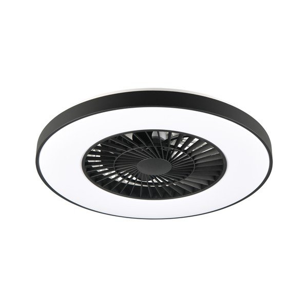 Matinės juodos spalvos lubinis šviestuvas LED Halmstad – Reality