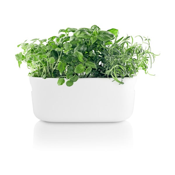 Baltas savaime pasilaistantis gėlių vazonas Eva Solo-image-4