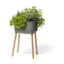 Iš plastiko auginimo konteineris su savaiminio laistymo funkcija Urbalive – Plastia