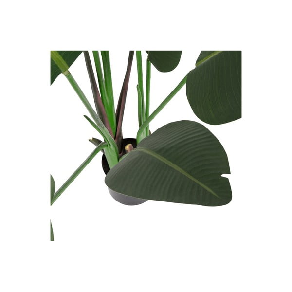 Dirbtinė strelicija (aukštis 164 cm) – WOOOD-image-2