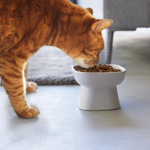 Iš keramikos augintinių dubuo visi augintiniai Tower – YAMAZAKI-image-1