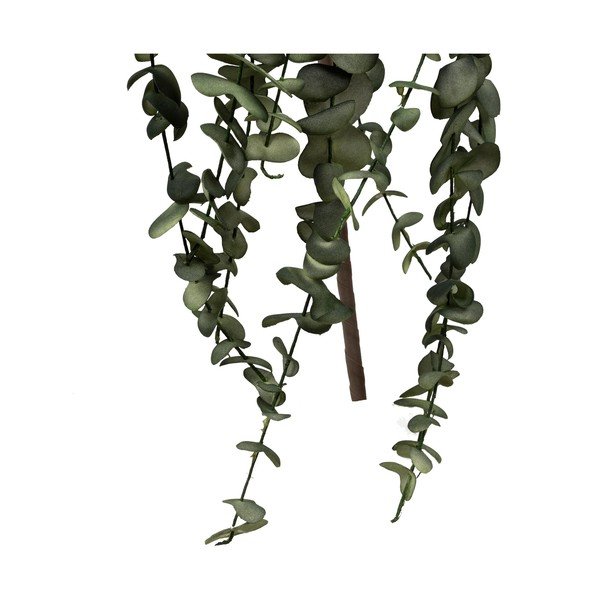 Dirbtinės gėlės Eucalyptus - Côté Table-image-1