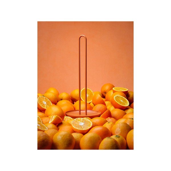 Iš metalo virtuvinių rankšluosčių laikiklis oranžinės spalvos ø 14,5 cm Singles – Zone-image-4