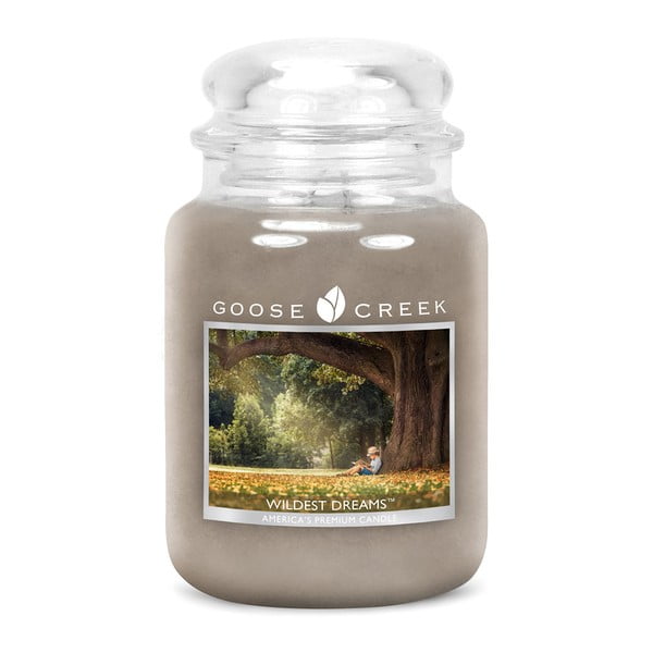 Kvapnioji žvakė stikliniame indelyje "Goose Creek Wild Dreams", 150 valandų degimo