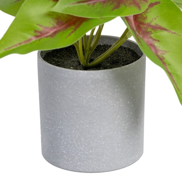 Dirbtinis augalas (aukštis 20 cm) Syngonium – Ixia-image-1