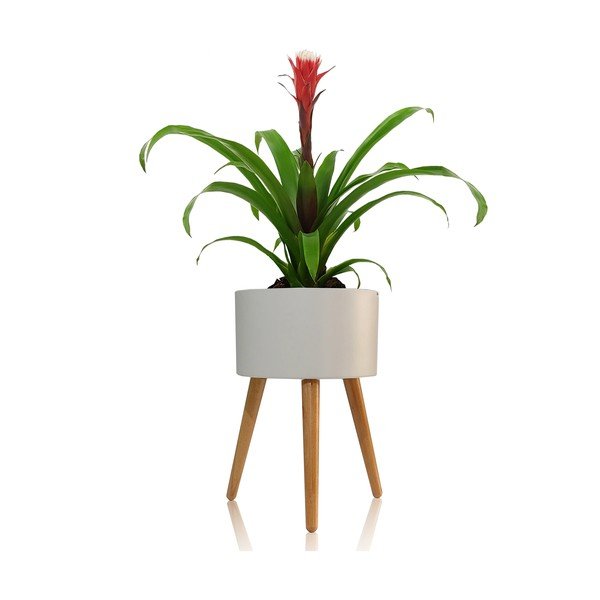 Baltas vazonas Tomasucci Calla, ø 33 cm-image-2