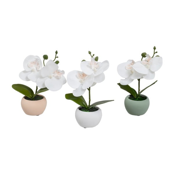 Dirbtiniai augalai 3 vnt. (aukštis 15 cm) Orchid – Casa Selección