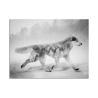 Paveikslas Styler Canvas Nordic Wolf, 75 x 100 cm